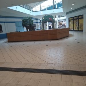 Meet your Posher, Leo